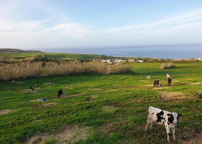 Casa Rotas A Nordeste *